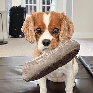 Meet your Posher, Karla